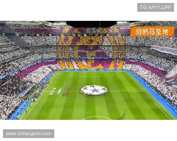 全球足球明星全景解析与历史成就盘点大汇总