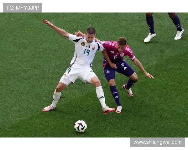 匈牙利足球传奇人物的辉煌历程与伟大成就探秘