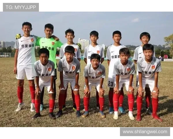 北京乒乓球队杯赛征程回顾与突破成就的深度分析与展望