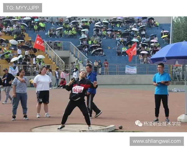 北京排球队的拼搏之路与城市联赛的荣耀时刻