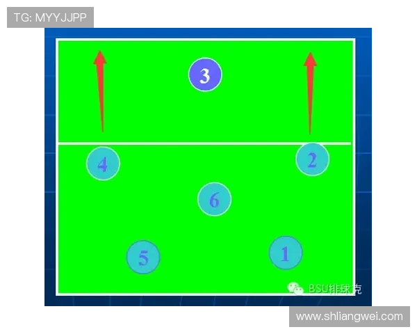 北京排球队总决赛精彩配合分析与战术解读