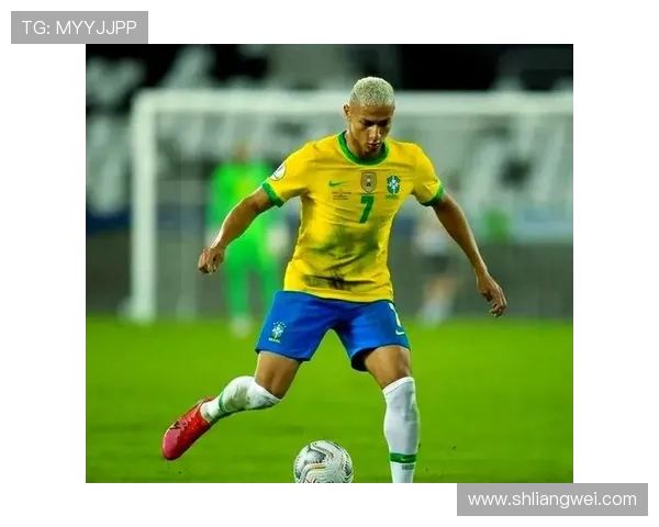 巴西足球明星的传奇之路与辉煌成就揭秘