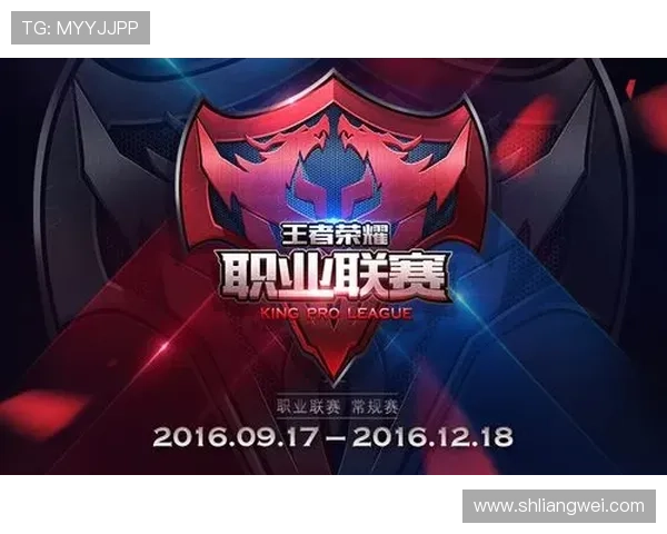 深圳网球队崛起之路联合会杯背后的奋斗与荣耀